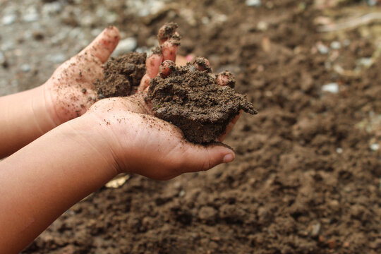 Close up of a little boy's hands playing with dirt or sand. child playing outdoors
