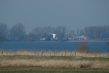 White bird soaring above tranquil water with distant trees and boats in the background during a sunny day