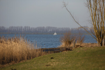 Sailboat glistens on tranquil waters near marshy shore under clear sky in autumn