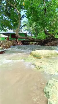 The calm water flows under the bridge and coconut trees leading to the shoreline.