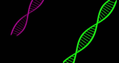 Image of dna strands over black background