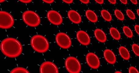 Image of red blood cells over black background