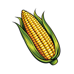 A detailed vector illustration of fresh corn on the cob, rendered in a realistic style. The corn should have vibrant yellow kernels and a green husk, with visible silk strands.