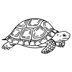 Fototapeta premium Abstract Tortoise Shell Design A tortoise with a detailed shell, portrayed in a creative continuous line drawing