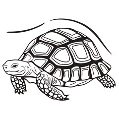 Abstract Tortoise Shell Design
A tortoise with a detailed shell, portrayed in a creative continuous line drawing
Adobe Illustrator Artwork