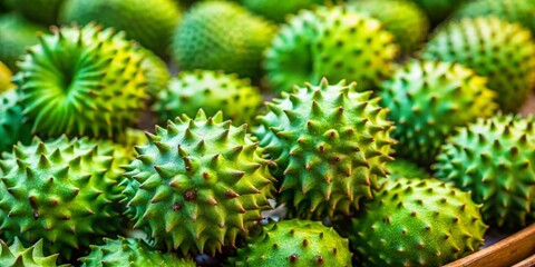 Fototapeta premium Unripe Jamaican Ackee Fruit in Shells - Blighia Sapida - Tilt-Shift Photography
