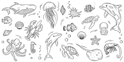 Sea animals. Whale dolphin, sea shell, swimming turtle, fish, shrimp and lobster, stingray and jellyfish. Underwater life. Hand drawn vector sketch illustration in doodle engraved vintage line art