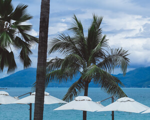 Palm trees and white umbrellas frame a picturesque view of the turquoise ocean and distant mountains under a partly cloudy sky