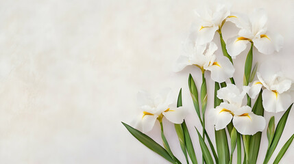 Fototapeta premium White irises on marble background; floral arrangement; spring; wedding invitation design
