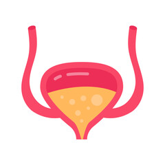 Bladder Flat Icons, Vector illustration