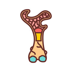 Bone Marrow Filled Icons , Vector illustration