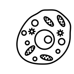 Human Cell Outline Icon, Vector illustration