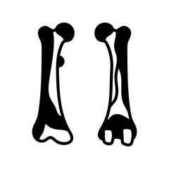 Femur Glyph Icon, Vector illustration