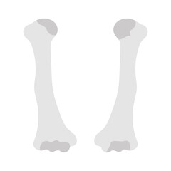 Humerus Flat Icons, Vector illustration