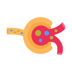 Glomerulus Flat Icons, Vector illustration