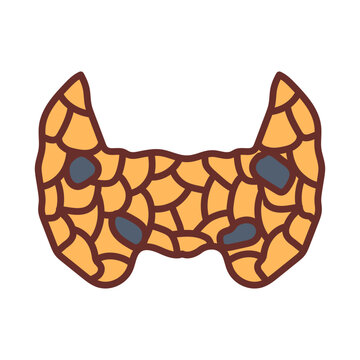 Parathyroid Glands Filled Icons , Vector illustration