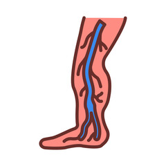 Anterior Tibial Vein Filled Icons , Vector illustration