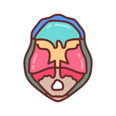 Cranial Cavity Filled Icons , Vector illustration