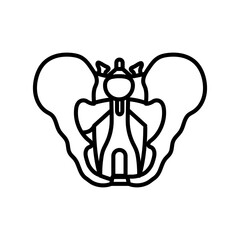 Pelvic Diaphragm Outline Icon, Vector illustration