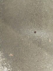 footprints on the sand