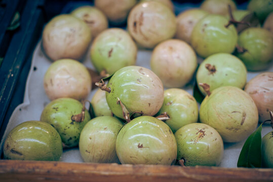 Close-up Star apple Vietnamese breast milk fruit or Vu Sua on display at grocery store shelf in Hanoi, Vietnam, fresh harvested kenitu, caimito, boob milk fruit tropical fruit family Sapotaceae