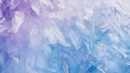 Fototapeta premium 雪の結晶