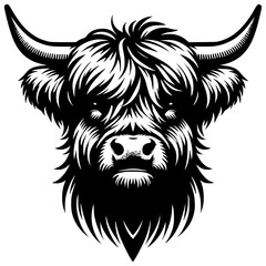 Fototapeta premium Highland cow head