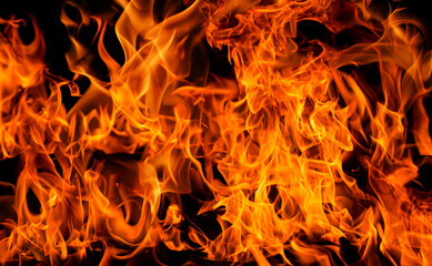 Fire flames on black background. Fire burn flame isolated. Fire flames texture. Flaming burning...