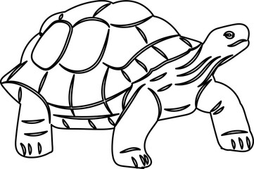 turtle crawling sketch, outline vector