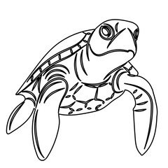 turtle swimming sketch, outline vector