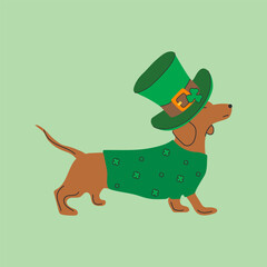 Dachshund dog wearing costumes for St. Patrick's day. A cartoon dog wearing a green hat