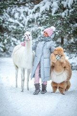 Smiling young girl in pink hat and mittens, blue jacket holds white llama against winter landscape.