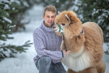 Young man in winter clothes walking in forest and hugging pet llama alpaca in snowy pine forest © Светлана 