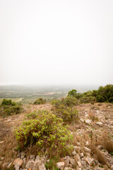 Paysage de montage dans le brouillard 14