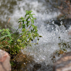 Cascade ruisselante 2