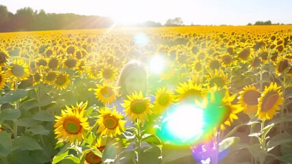 Overhead tilt natural sunlight video in a field of sunflowers, yellow petals surrounding them, bright sunlight illuminating the scene, buzzing bees adding to the lively atmosphere - Powered by Adobe