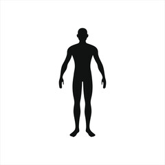 human body black silhouette vector illustration on white background.