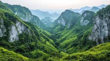 Obraz premium Lush green valley nestled between towering, mist-shrouded mountains.