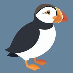 penguin on a branch atlantic puffin