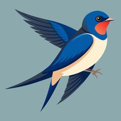 barn swallow bird vector illustration