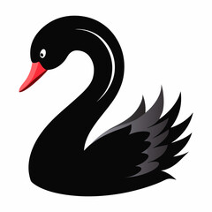 black swan vector