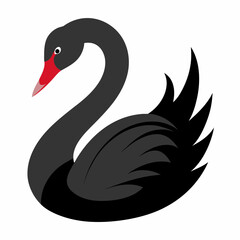 black swan vector