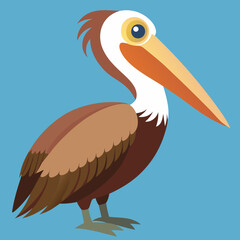 brown pelican cartoon illustration
