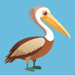 brown pelican cartoon illustration