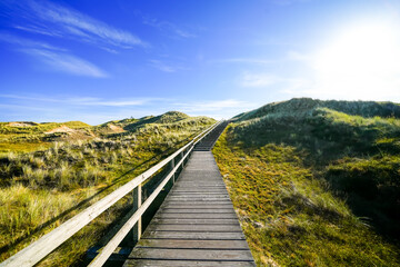 View of the dunes on the North Frisian island of Amrum. Landscape in the north. Nature on the North Sea island.
