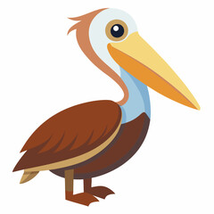 brown pelican cartoon illustration