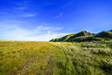 View of the dunes on the North Frisian island of Amrum. Landscape in the north. Nature on the North Sea island.
