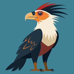 illustration of a eagle crested caracara