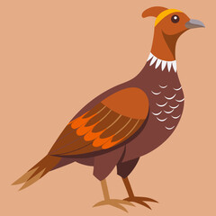 vector illustration of a bird dusky grouse