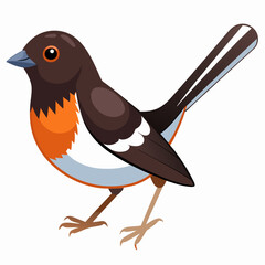 vector illustration of a bird eastern towhee